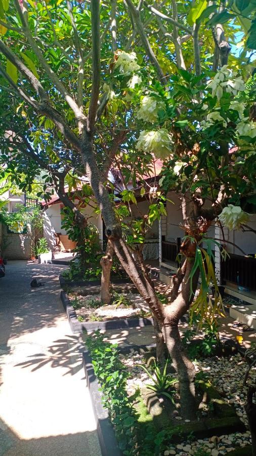 Gili Guest House Гили-Эйр Экстерьер фото
